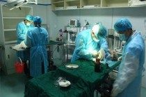 【宠物的保养小窍门】狗狗到新家不排便,狗狗到新地区不排便一切正常推拿