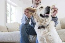 【养宠物心得分享】狗狗耳螨如何完全医治，狗耳螨如何治疗才不发作