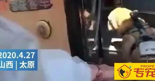 “交警扮盲人带导盲犬乘车被拒”：曝光的不止无知，还有冷漠自私