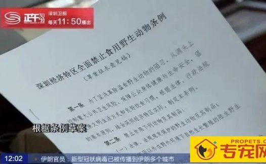 深圳成为大陆第一个立法禁食猫狗的城市!自2020年5月1日起施行。