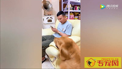 小黑彬的家庭地位究竟低到什么程度，一起来看看吧