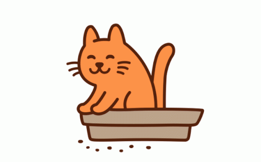 这一份权威猫咪腹泻指南请你收下