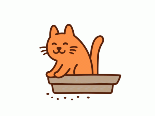 这一份权威猫咪腹泻指南请你收下