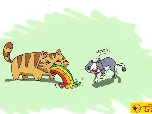 这一份权威猫咪呕吐指南请你收下